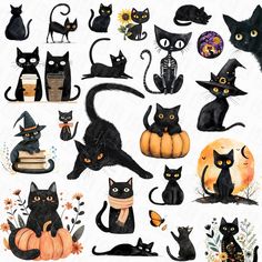 black cats with pumpkins and bats on their heads