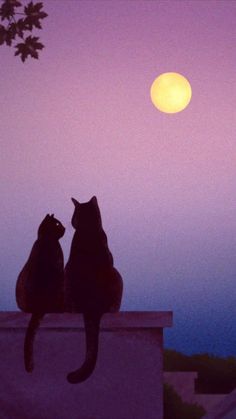 two cats sitting on top of a roof looking at the moon