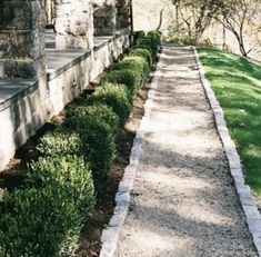 the walkway is lined with stones and grass