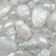 many white shells are stacked together on top of each other