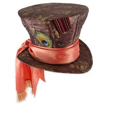 a brown hat with a red ribbon around the brim and peacock feathers on it