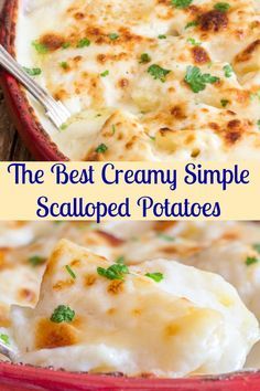 the best creamy simple scalloped potatoes in a red casserole dish