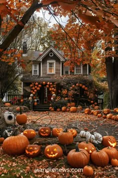 pumpkins and jack - o'- lanterns are arranged in front of a house