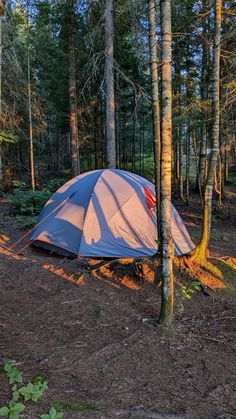 a tent is pitched up in the woods