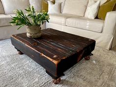 a living room with a couch, coffee table and plant in the middle on it