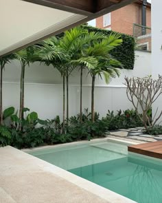 an outdoor swimming pool surrounded by plants and trees