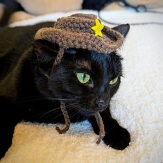 a black cat wearing a crocheted hat on top of it's head