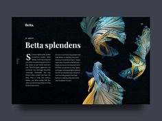 an article about betta splendens is shown