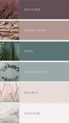 the color scheme for different shades of grey, pink and green with text overlaying them