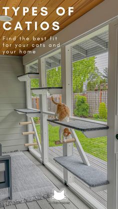 an orange and white cat sitting on top of a window sill