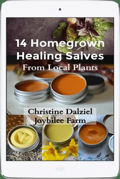 14 DIY Healing Salves From Local Plants | Joybilee® Farm | DIY | Herbs | Gardening | Farm Diy, Seasonal Living, Herbal Tinctures