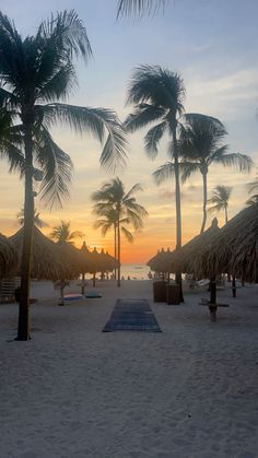 palm trees line the beach as the sun sets in the distance behind them, with thatched umbrellas on either side