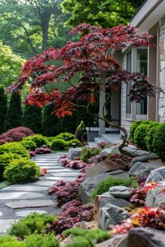 a small tree in the middle of a garden with rocks and plants on either side