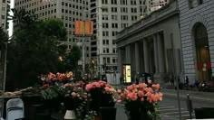 flowers are sitting in front of the tall buildings