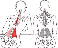 Pass Exam, Punkty Spustowe, Placebo Effect, Pressure Point Therapy, Therapy Benefits, Yoga Anatomy, Chiropractic Wellness, Human Body Anatomy