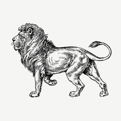 a black and white drawing of a lion standing on one leg with its mouth open