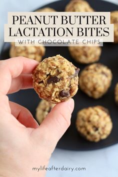 One-bowl and no-bake, these Peanut Butter Chocolate Chip Lactation Bites are the perfect snack for nursing moms! Packed with oats, brewer’s yeast, and ground flax meal, this healthy lactation recipe is also a one-handed snack you can quickly whip up during nap time! Best Snacks For Breastfeeding Moms, Brewer Yeast Recipes, Lactation Oatmeal Bites, Best Foods To Eat While Breastfeeding, Lactation Oat Balls, Postpartum Lactation Snacks, Easy Mother’s Day Snacks, Lactation Balls No Bake