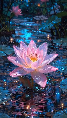 a pink flower floating on top of a body of water next to lily pads and lights