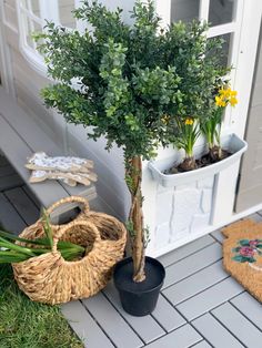 a potted plant sitting on the ground next to a basket with flowers in it