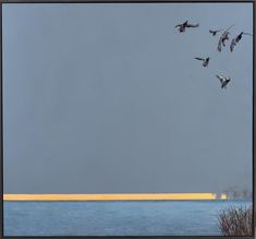 a flock of birds flying over the ocean