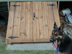 a dog sitting in front of a wooden door with metal latches on it's sides