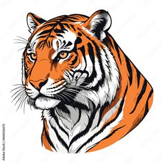 an orange tiger with black stripes on it's chest and head, looking to the side