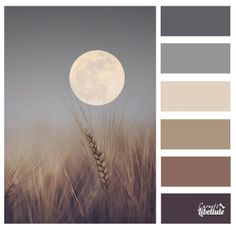 an image of a full moon in the sky over some wheatfields with color swatches