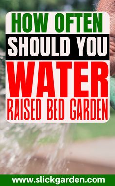 a man is spraying water on his face with the words how often should you use water raised bed garden?