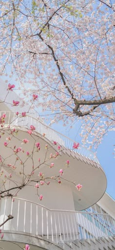 pink flowers are blooming on the branches of trees in front of a white building