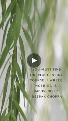 the quote you must find in the place inside yourself where nothing is impossible - deepak chopra