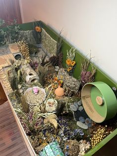 a green box filled with lots of different types of plants and animals inside of it