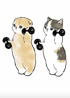 two cats with dumbbells on their backs