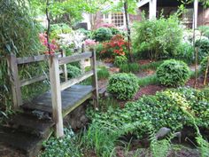 a wooden bench sitting in the middle of a garden