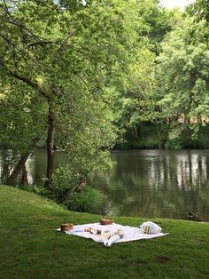 a picnic is set up on the bank of a river