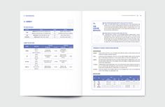 an open brochure showing the contents of a business plan with blue and white lines