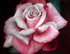 a painting of a pink rose on a black background