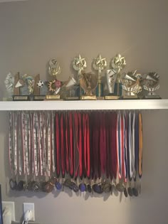 a shelf filled with lots of medals and trophies