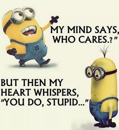 Minion Memes, Minions Humor, Funny Minion Memes, Minions Love, Cute Minions, A Minion