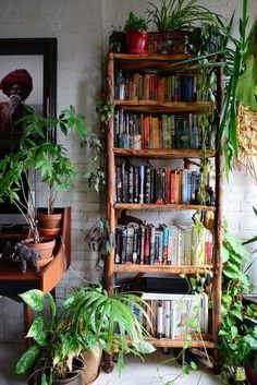 a bookshelf filled with lots of plants next to a wall mounted planter