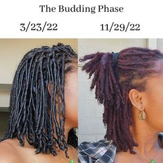 Phases Of Locs, Loc Phase, Locs And Claw Clips, Locs Length Chart, Different Type Of Locs, Loc Transformation, Different Loc Sizes, Loc Types, Budding Phase Locs