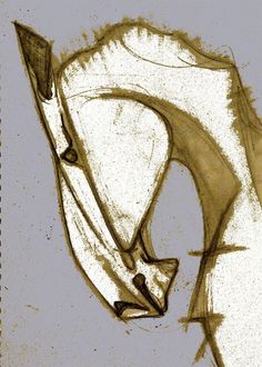 an artistic drawing of a horse's head