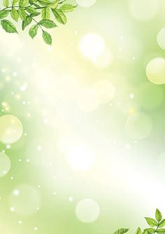 a green background with leaves and bubbles in the foreground is an empty space for text