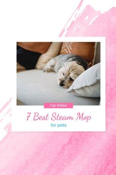 a dog laying on top of a couch with the words 7 best steam mop for pets