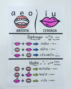 a sheet of paper with different types of lips on it