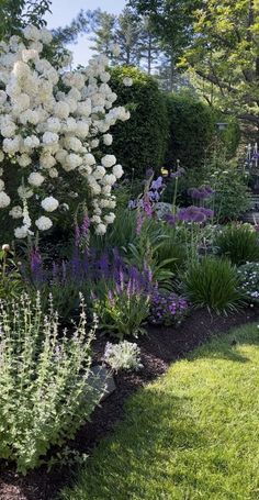 a garden filled with lots of white flowers