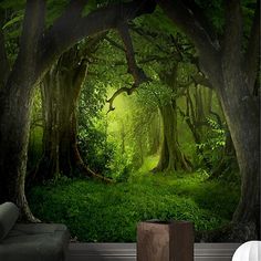 an image of the inside of a forest with green grass and trees in the foreground