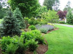 a lush green park with lots of trees and bushes