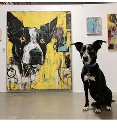 a black and white dog sitting in front of paintings