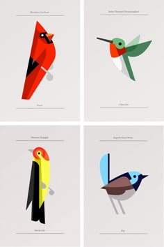 four different types of birds on white paper