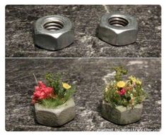 four different images of flowers in concrete containers